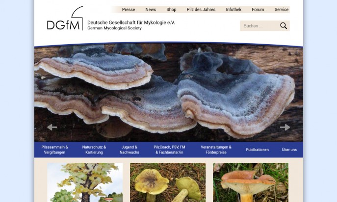 German Mycological Society by reDim GmbH